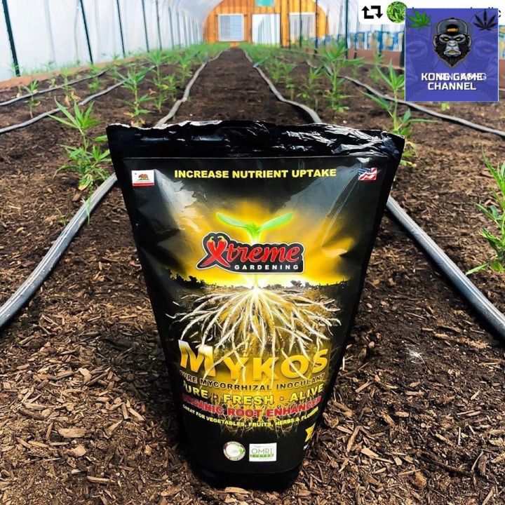 ready-stock-ผงเร่งราก-mykos-xtreme-gardening-แบบถุง-2-2lb-998g-แท้-100-จาก-usa-ผง-ระเบิดราก-เร่งโต-เร่งดอก-น้ำยา-ผงเร่ง-เร่งรากมีบริการเก็บเงินปลายทาง