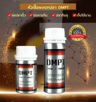 หัวเชื้อผง DMPT ตัวเร่งปลาเข้าไว กินเหยื่อไว