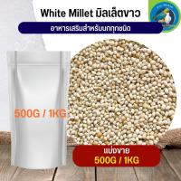 สุดยอด White millet มิลเล็ตขาว อาหารนก กระต่าย หนู กระต่าย กระรอก ชูก้า และสัตว์ฟันแทะ (แบ่งขาย 500G / 1KG)