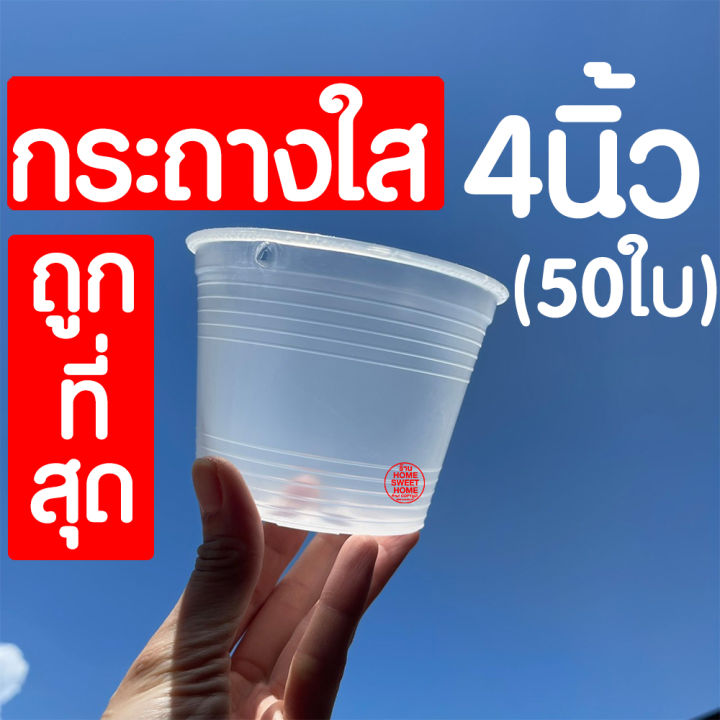 กระถางใส-กระถางพลาสติกใส-4นิ้ว-50ใบ-กระถางต้นไม้ใส-กระถางต้นไม้-กระถางพลาสติก-กระถางสีใส-กระถางส่องราก-กระถางต้นไม้สีใส