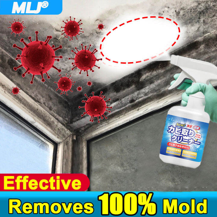【3 in 1 effect】tile cleaner wall stain remover mold cleaning solution