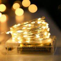 【CC】 Led Wire String 3/5M Outdoor Lamp Garland Battery Powered Wedding Decoration