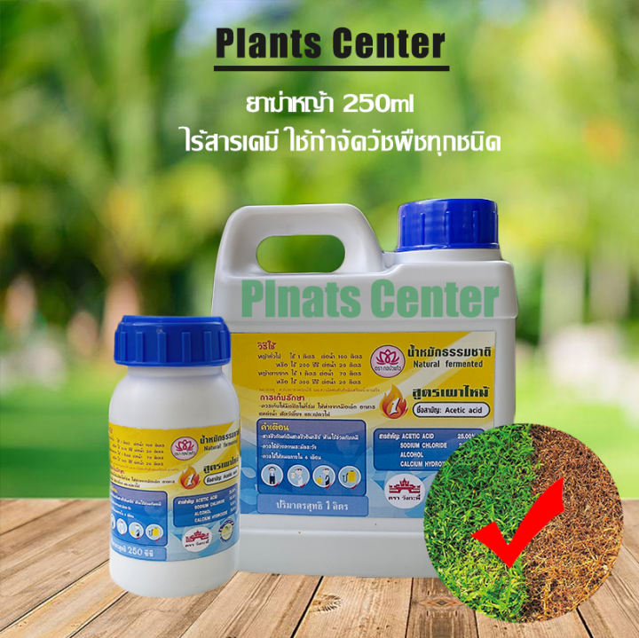 plants-center-พร้อมส่ง-ผลิตภัณฑ์กำจัดวัชพืช-สูตรเผาไหม้-กำจัดหญ้า-ไร้สารเคมี-กำจัดหญ้าใบแคบ-กำจัดหญ้าใบกว้าง-หญ้าข้าวนก-หญ้ากระดูกไก่