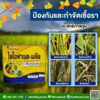 ไทโอฟาเนต 100 กรัม จำกัดราน้ำค้าง ใบจุด โรคใบไหม้ โรคเมล็ดด่างในข้าวโรคแผลสะเก็ด(สแคป) โรคเมลาโนส โรคราสีชมพู คูลเกษตรKF53