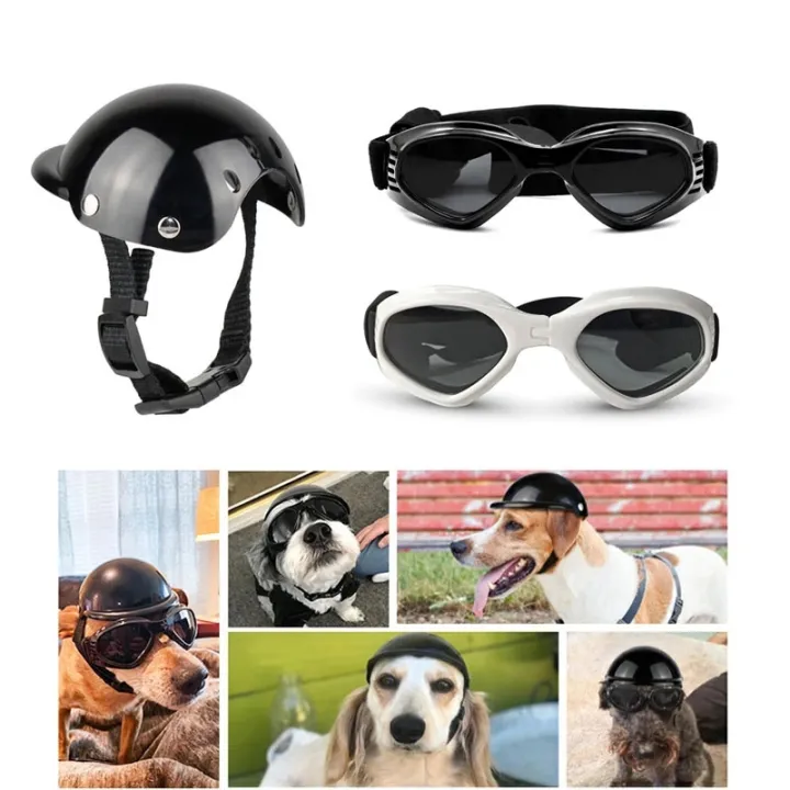 Pet Safety Suit Motorcycle Dog Helmet With Sunglasses Cool Fashion Cool ...