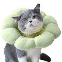 [Big Spade] หมอนรองคอแมว Cat Cone With SunflowerPet Neck Collar For Dolllicking For