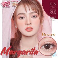 Margarita Brown  มินิ สีน้ำตาล ช็อคโก้ Choco น้ำตาล น้ำตาลเข้ม Kitty Kawaii Contact Lens Bigeye คอนแทคเลนส์ ค่าสายตา