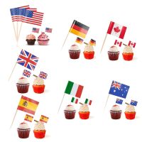 100Pcs Disposable Paper National Flag Cupcake Toothpicks Wooden Toothpicks Food Decorations for Decorating Sandwiches Fruit Food