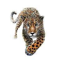 Animal Street Icon Women Men Clothes Leopard Iron On Transfer Printing Patches For Clothing T-Shirt Patch Diy 3D Stickers Haberdashery