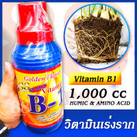 Golden Flower Vitamin B1 (USA) ปุ๋ยเคมี วิตามิน บี1 สูตรเร่งราก เหมาะสำหรับ คลุกเมล็ด ตอนกิ่ง ปักชำ เร่งราก ช่วยในการเจริญเติบโตของพืช ขนาด 1 ลิตร