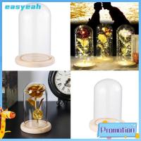 EASYEAH โต๊ะ Terrarium ไฟนางฟ้า ไห สวนขวด แจกันแก้ว ผ้าคลุมกันฝุ่น ผ้าคลุมแก้ว ฐานไม้ กล่องเก็บดอกไม้