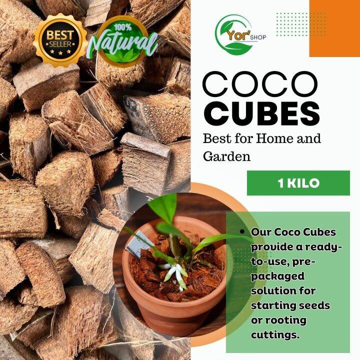 1 kilo Coco cubes for Plants Lazada PH