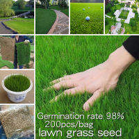 *ขายเมล็ดพันธุ์/ประเทศไทยพร้อมสต็อก* ปลูกง่าย 200 เมล็ด เมล็ดพันธุ์ หญ้าสนามหญ้า Lawn Grass Seeds for Planting Evergreen Plants เมล็ดพันธุ์ หญ้าเทียม ของแต่งสวน พันธุ์ดอกไม้ บอนสีราคาถูกๆ เมล็ดบอนสี ดอกไม้จริง เมล็ดดอกไม้ ต้นไม้ฟอกอากาศ ต้นไม้มงคล ต้นไม้