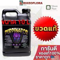 [ready stock]⭐⭐Purpinator Rhizoflora ปุ๋ยช่วยเร่งสีม่วง กลิ่น และช่วยเพิ่มไตรโคม ขวดแท้โรงงาน ขนาด 10Lมีบริการเก็บเงินปลายทาง⭐⭐