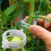 50pcs Gardening Plant Clip Anti-break Holder Tomato Tree Support Stand Branches Garden Strengthen Fixing Stalk Retaining WB5TH