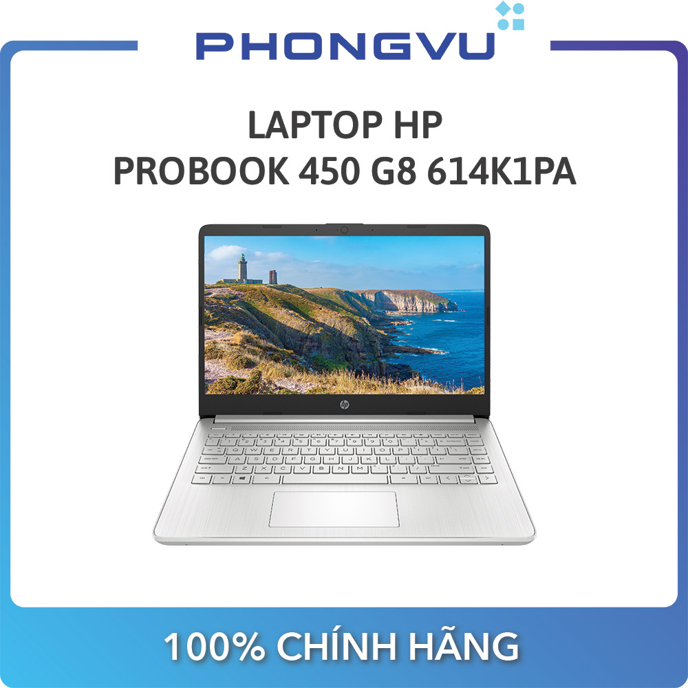 Laptop HP 14s-fq1066AU 4K0Z6PA (14 inch HD/Ryzen 5 5500U/8GB/256GB SSD/Win 10 Home)