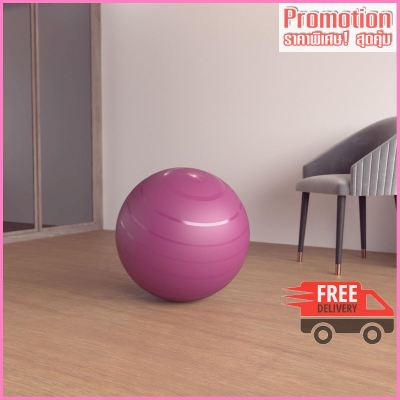 Durable Fitness Gym Ball Size 1 - 55 cm - Burgundy