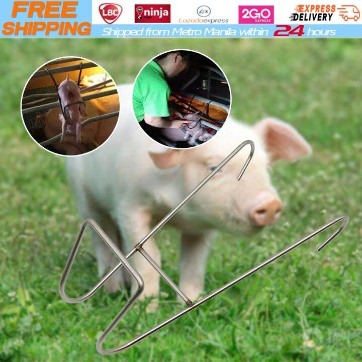 【Local Warehouse】Stainless steel Pig castration device veterinary