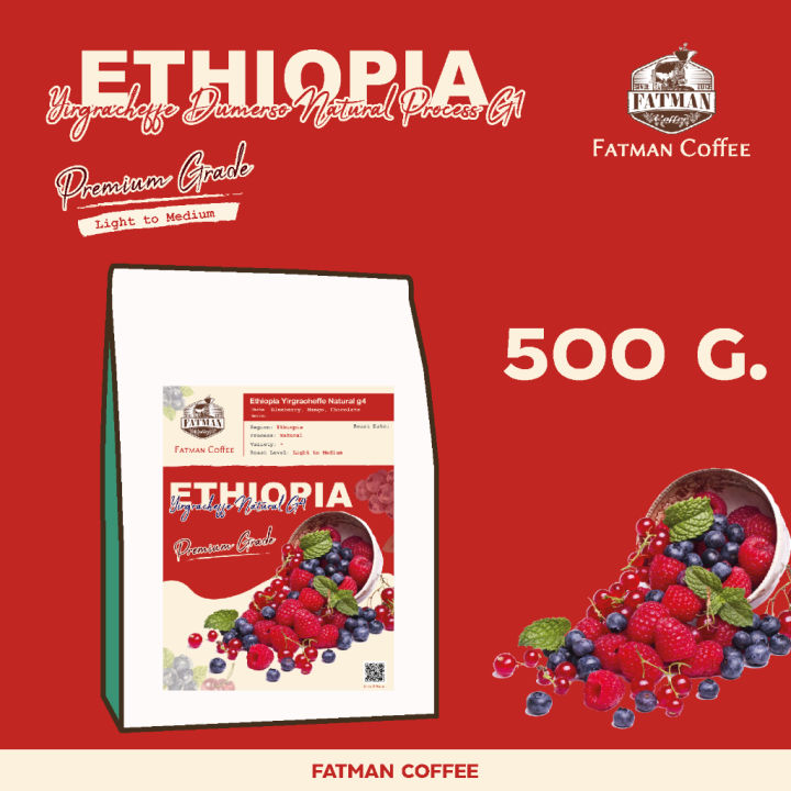 เมล็ดกาแฟ-ethiopia-dumerso-g1-light-to-medium-roasted-premium-grade