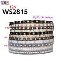 15m WS2815 RGB LED Strip Lights IP306567 DC12V 3060144 Ledsm WS2812B2813 Updated Individually Addressable LED Dual-Signal