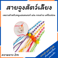 【Small Pet Club】แฮนด์เมดขนาดเล็กเชือกลากสัตว์เลี้ยงแบบคู่ใช้สัตว์เลี้ยงขนาดเล็กเมาส์กระต่ายน้ำผึ้งกระเป๋ากระรอกหนูแฮมสเตอร์ลากเชือก2เมตร