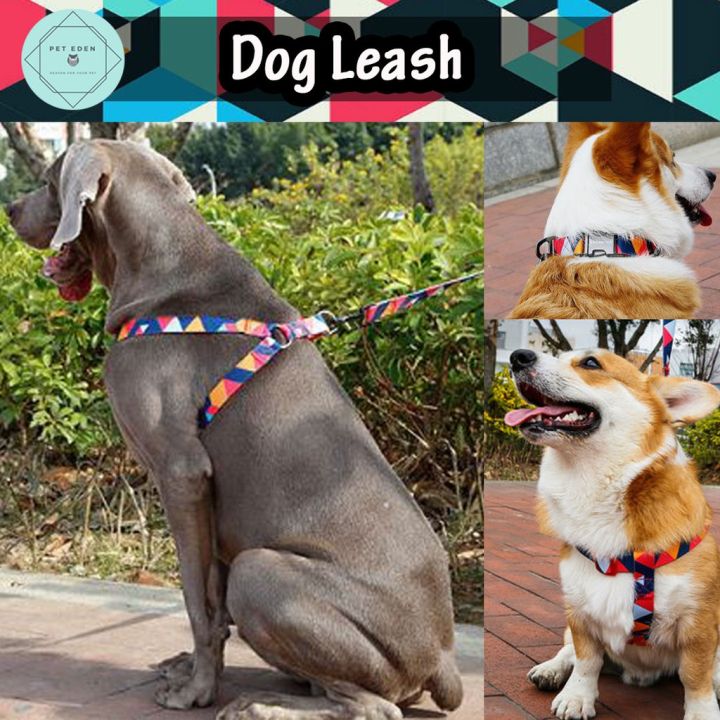 dog-leash-สายจูงหมา-สายจูงสุนัข-สายจูงสัตว์เลี้ยง-สายจูงหมาใหญ่-สายจูงหมากลาง