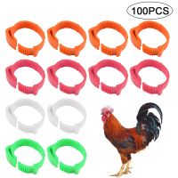 Behogar 100PCS Adjustable 001-100 Digital Poultry Chicken Foot Leg Label Buckle Ring for Chicken Duck Poultry Farm Supplies