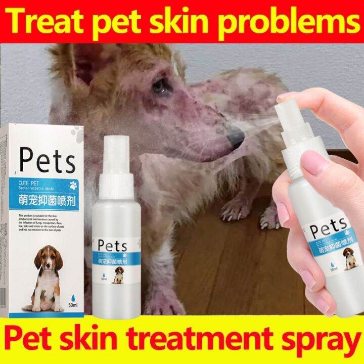 50ml Pet Skin Treatment Pet Anti Fungal Itchy Spray Dog and Cat Skin