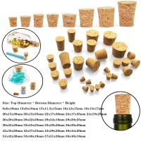 【CW】 5/10pcs Conical Glass Bottle Stopper Brew Tapered Bung Wine Corks bottl cap