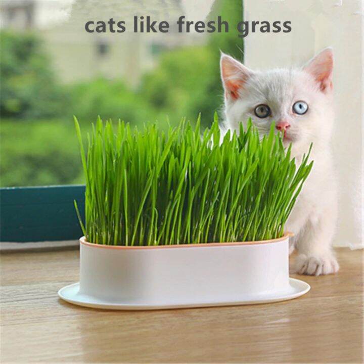 COLLOCATE DIAGONAL76AL9 Pet Greenhouse Hydroponics Germination Nursery Grass Germination Growing