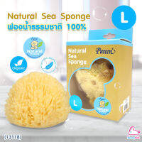 (13118) Pureen (เพียวรีน) Natural Sea Sponge ฟองน้ำธรรมชาติแท้ 100% ไซส์ L