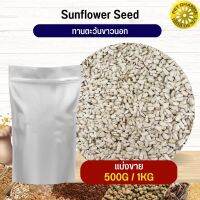 ทานตะวันขาวนอก White Sunflower อาหารนก กระต่าย หนู กระต่าย ชูก้า และสัตว์ฟันแทะ สะอาดได้คุณภาพ (แบ่งขาย 500G / 1KG)