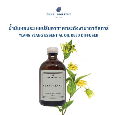 น้ำมันหอมระเหย กระดังงา มาดากัสการ์ สำหรับปรับอากาศ (Ylang Ylang Essential Oil Reed Diffuser)
