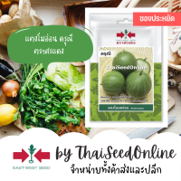 VP3 ซฟ เมล็ดพันธุ์ แตงโมผลอ่อนดรุณี 70เมล็ด ตราศรแดง แตงโมอ่อน Watermelon