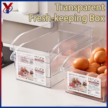1pc Fridge Storage Box For Frozen Egg-like Food, Clear Plastic