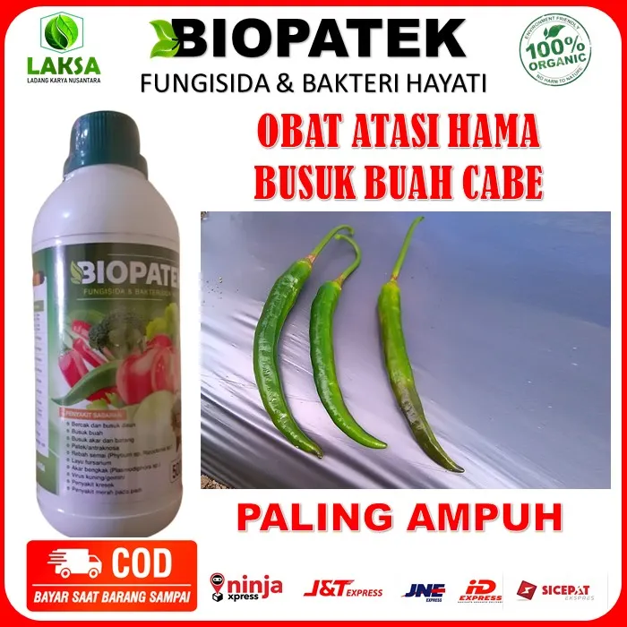 Biopatek Ml Obat Busuk Buah Cabe Paling Ampuh Biopatek Obat