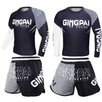 Boxers clothing adult male sanda training long-sleeved tights muay Thai shorts breathable T-shirt