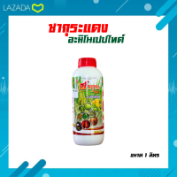 ฮอร์โมนพืช ส่งเสริมการติดดอกออกผล ซากุระแดง อะมิโนเปปไทด์ บำรุงผลผลิต เพิ่มความหวาน อะมิโน ปุ๋ยน้ำ ขวดใหญ่