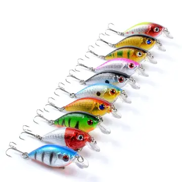 Shop Fishing Lures Bait For Big Fish Plastic with great discounts and  prices online - Jan 2024