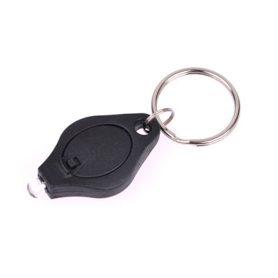 395nm UV Mini Keychain LED Flashlight Promotion Gifts Lamp Key Ring Fluorescent Torch Blacklight 365NM Ultraviolet Detector Rechargeable Flashlights