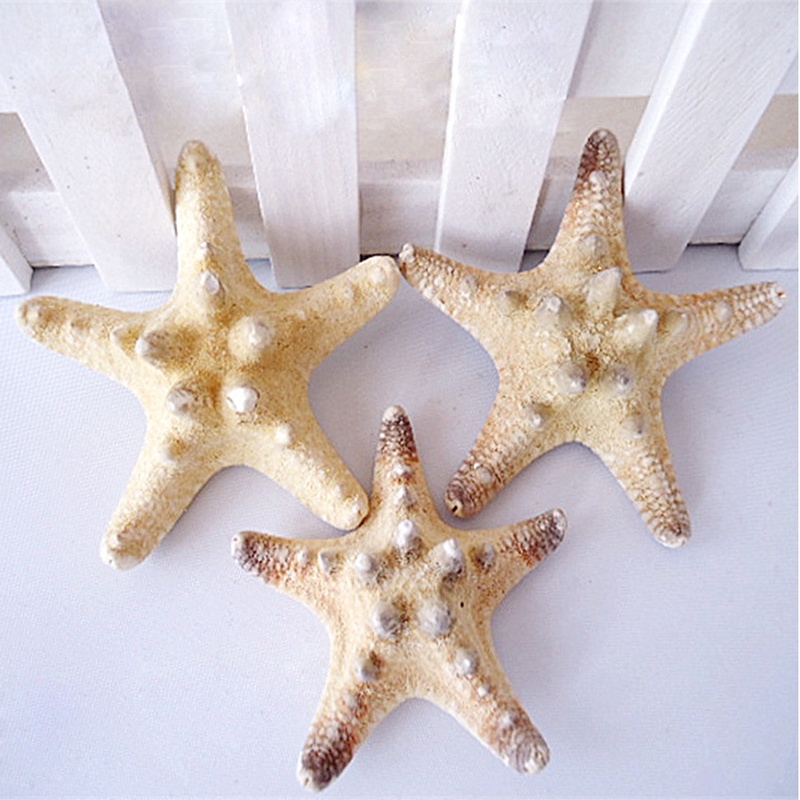 2PCS Natural Starfish Sea Star Shell Aquarium Landscape Making DIY Craft Decors 