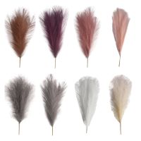 【cw】 6 Bundles 50cm Artificial Pampas Bouquet New Year Wedding Decoration Dried Reed ！