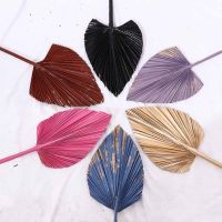 【YD】 1 Pcs Colorful Spears Dried Trimmed Decoration Leaves