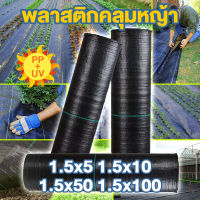 ?【ซื้อ 1 แถม 1 ฟรี】? พลาสติกคลุมดิน ผ้าคลุมกันหญ้า 1*5 1.5*10 3*10 1.5*50 3*50 ผ้าคลุมดินป้องกันวัชพืช ผ้าใบคลุมดิน พลาสติกคลุมหญ้า ผ้าคลุมดินกันวัชพืช