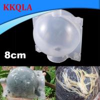 QKKQLA 5pcs 8cm Plant Rooting Device Grow Box High Pressure Gardening Plant Ball Breeding Case for Garden Grafting Rooting Box