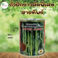 เมล็ดพันธุ์ถั่วฝักยาวคัดพิเศษ สายทิพย์ ตราภูเขาทอง