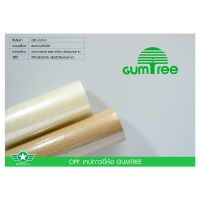 [GUMTREE] สก็อตเทป ขนาด 2 นิ้ว สีใส/สีน้ำตาล (บรรจุ 6 ม้วน/แพ็ค) 64/120  *