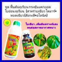 ชุด ฟื้นต้นทุเรียน กระตุ้นการแตกยอดและใบอ่อนทุเรียน สาหร่ายเขียว ไดมาร์ 1L+ หยดเขียว สังกะสี+อโทนิค ทนสภาพอากาศหนาว เพิ่มสังเคราะห์แสง