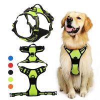 Pet Dog Harness Reflective Adjustable Breathable Vest Chest Strap for Small Medium Large Dogs Cat Puppy Collar Dog Accessoires Cable Management