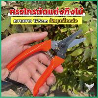 Eliana กรรไกรแต่งกิ่งไม้ เหล็กคาร์บอน สำหรับใช้ในสวน ด้ามกระชับมือ garden shears